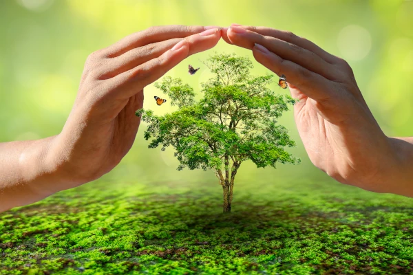 Environment Protection